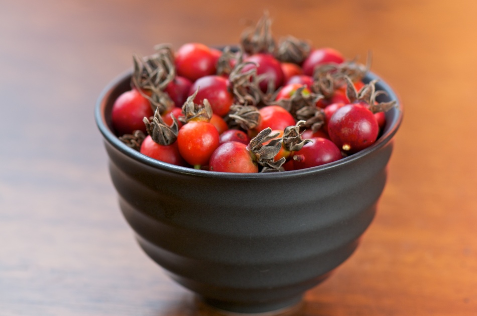 Färskt rosehip bör inte ha tecken på förstörelse, mögel eller råtta