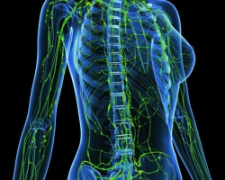 How to check the lymphatic system, what tests, how to decipher them?
