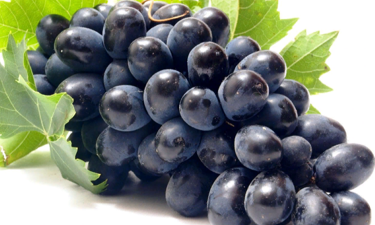 Grapes: un remède naturel pour l'augmentation de la puissance masculine