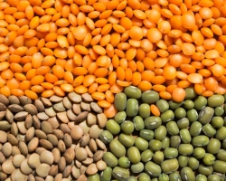 The benefits of lentils for the body of men, women and children, during pregnancy, breastfeeding, in bodybuilding. Lentils - chemical composition, vitamins, proteins, food value, glycemic index