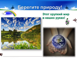 Composition-reasoning on the topic “Take care of nature”: why, why do you need to protect nature, what does this mean?