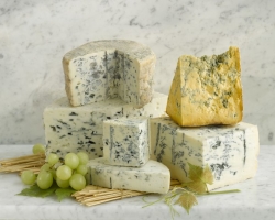 Ali je mogoče jesti sir s plesnijo - z belo, modro: koristi in možna škoda