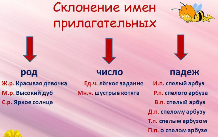 Имена прилагательные образец