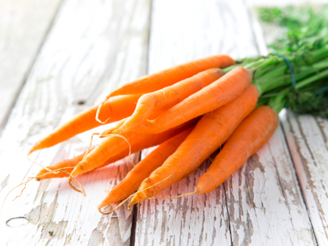 Лучшие сорта моркови для хранения, сладкие, для Сибири, устойчивые к морковной мухе: названия, описание, фото, отзывы
