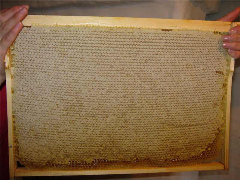 Honeycombs con miele quando l'acquisto dovrebbe essere sigillato