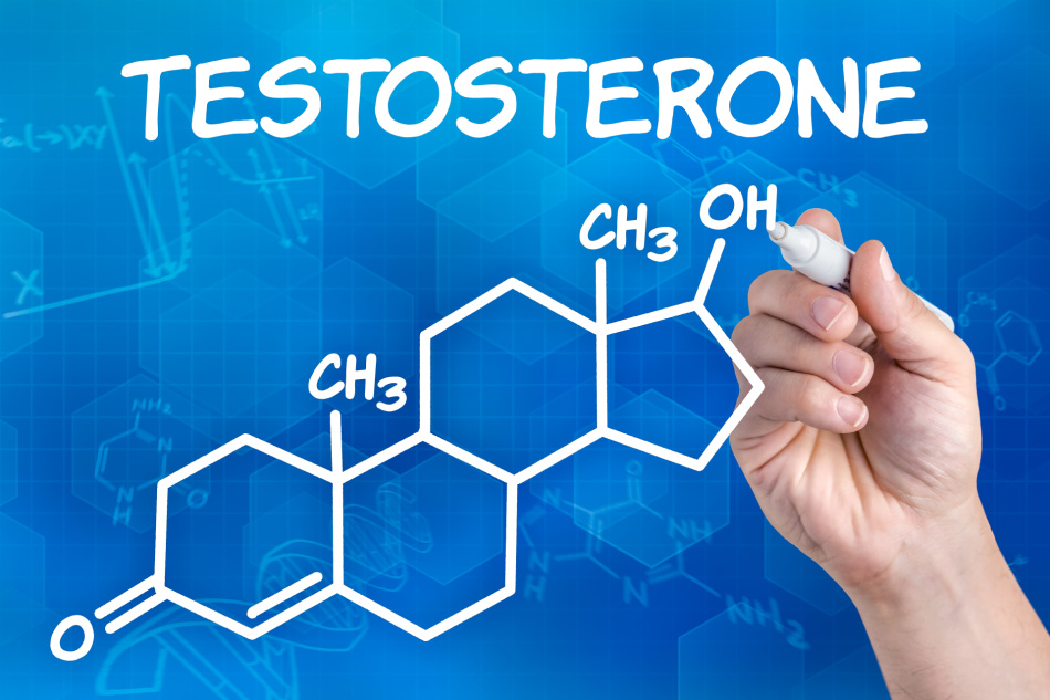 To increase the level of testosterone, you need a certain diet