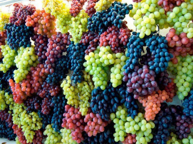 Amikor valami szőlőt táplálhat tavasszal, nyáron, ősszel, télen: Feltételek, ásványi műtrágyák neve és népi gyógymódok a szőlő táplálására. Hogyan lehet ültetni a szőlő palántákat az ültetés során, fiatal, lányos szőlőt, tavaszi fagy után?