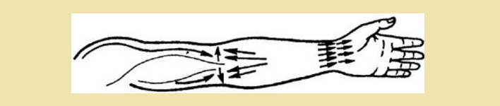 ხელის მასაჟის მშრალი ფუნჯი - მასაჟის ხაზები