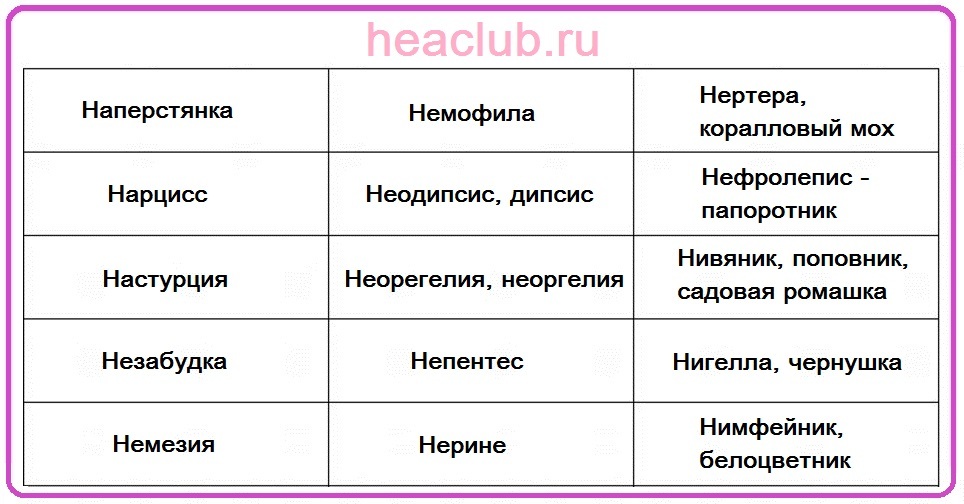 Names of flowers on n table