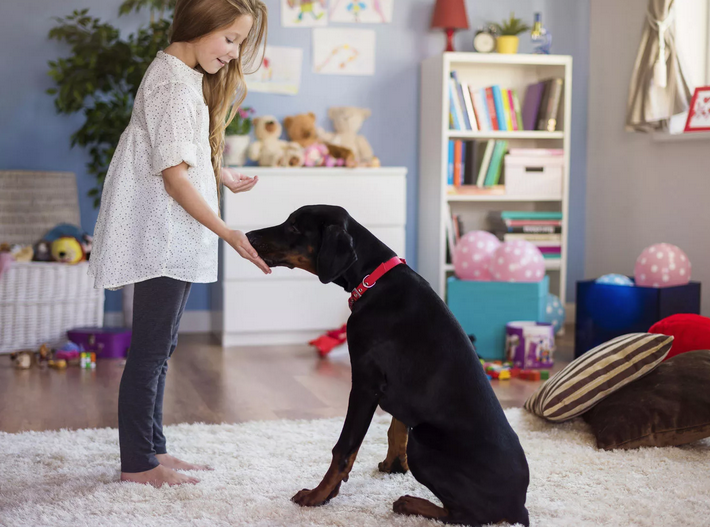 Nous jouons avec le chien à la maison