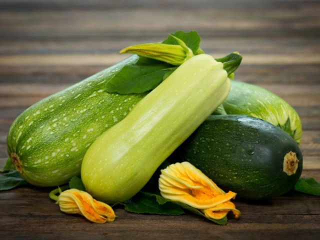 When to plant zucchini on seedlings, in open ground: terms. How to plant zucchini for seedlings, in open ground: instructions, recommendations, care