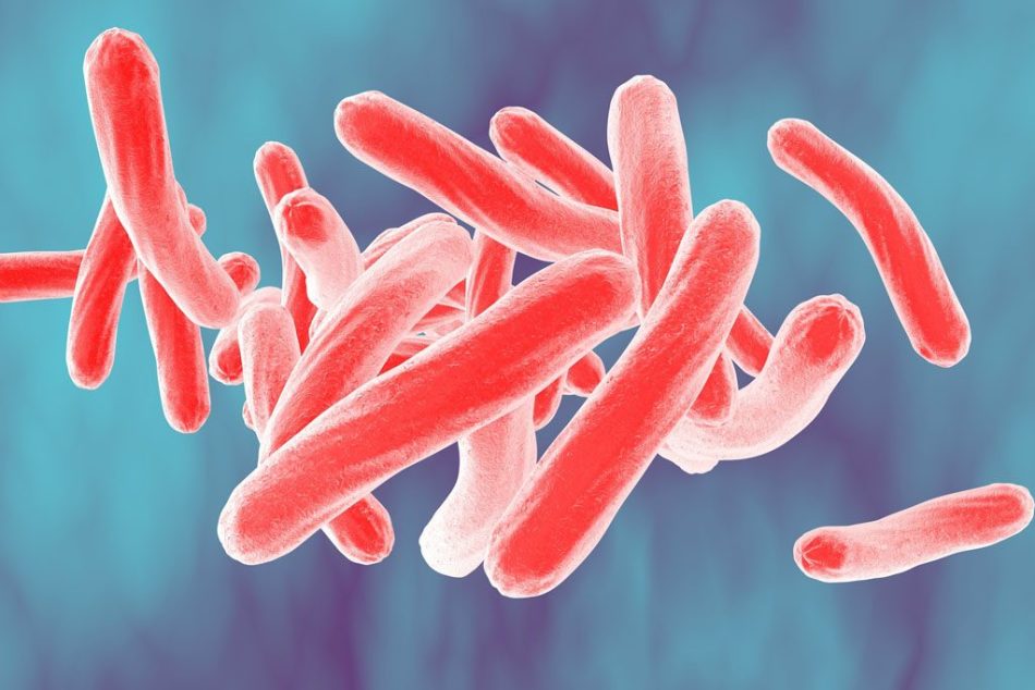 Agen tuberkulosis