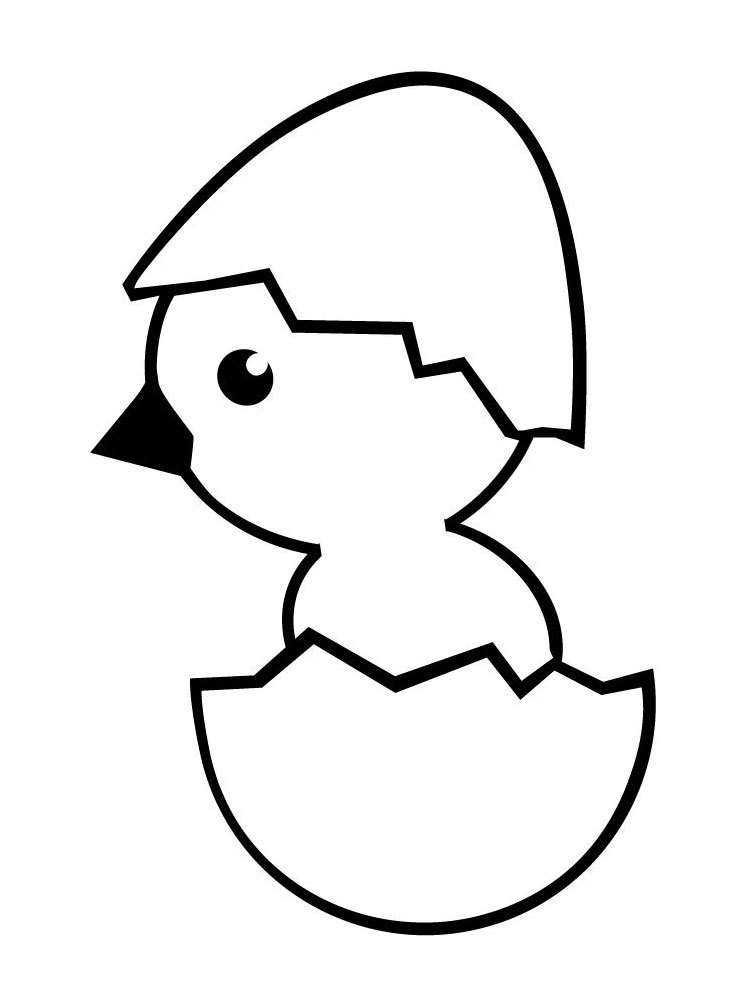 Bird stencil for application