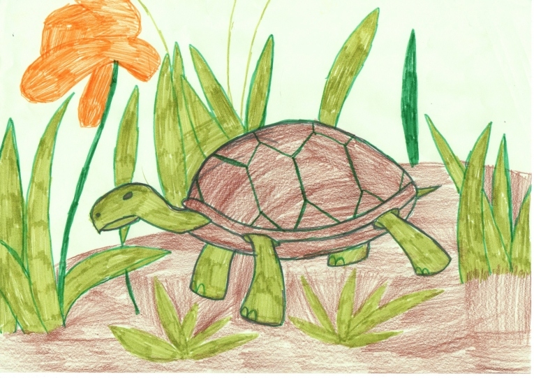 Детские рисунки черепахи, пример 5