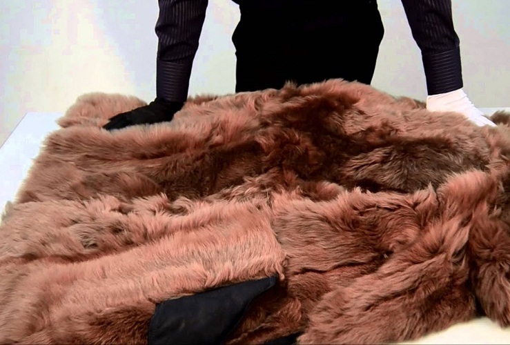 The nature of the animal also affects, for example, the Tuskun fur is not cut off