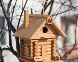 How to make a beautiful birdhouse with your own hands from improvised materials for starlings and different species of birds to kindergarten, school, to the country, competition correctly: drawings, sizes, templates, step -by -step instructions, photos. What can you make a bird bird?