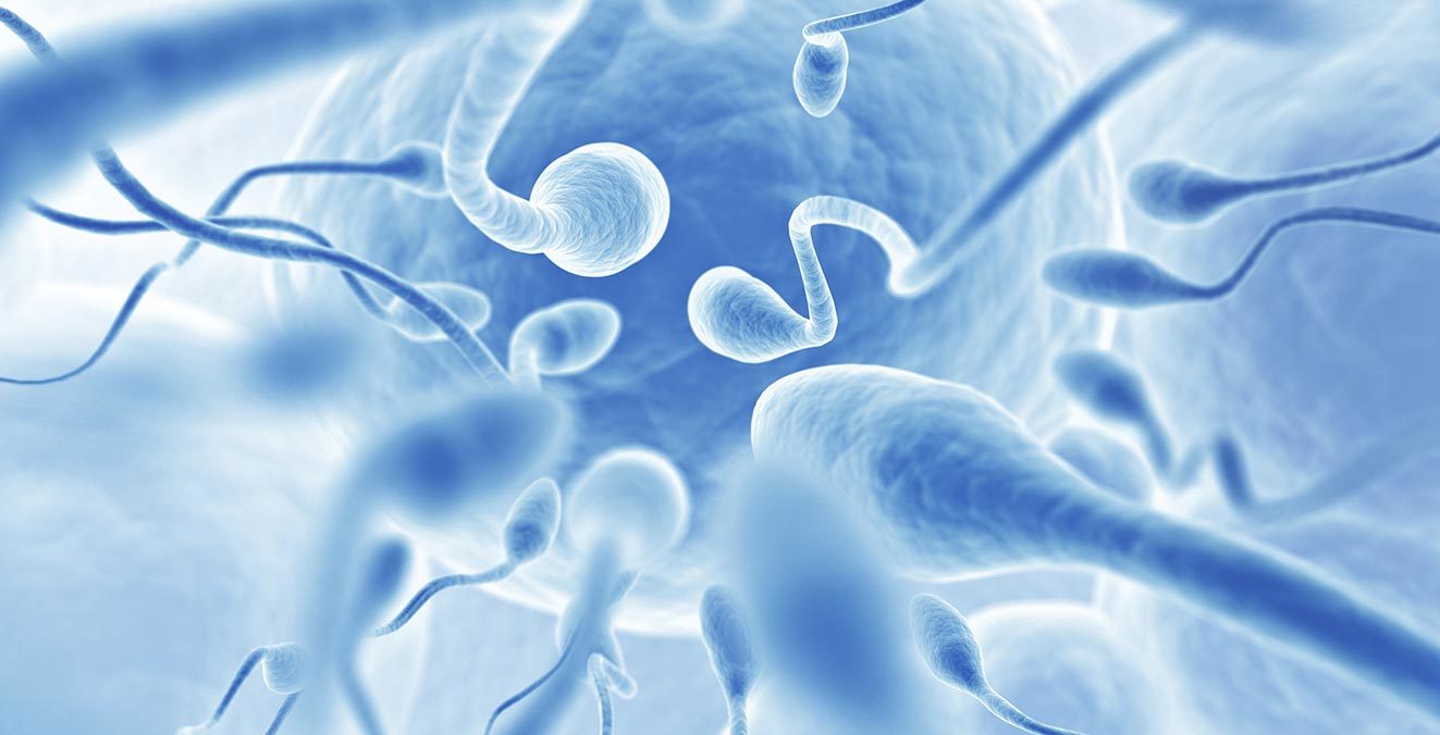 Many forms of Azoospermia are subjected to successful treatment