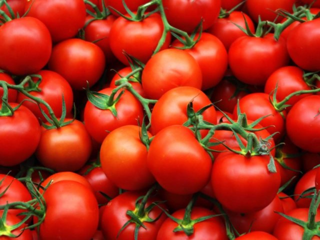 Contenido de calorías del tomate fresco y después del tratamiento térmico