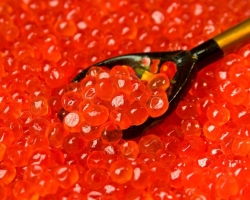 Est-il possible de manger du caviar rouge en retard? Comment utiliser le caviar rouge en retard?