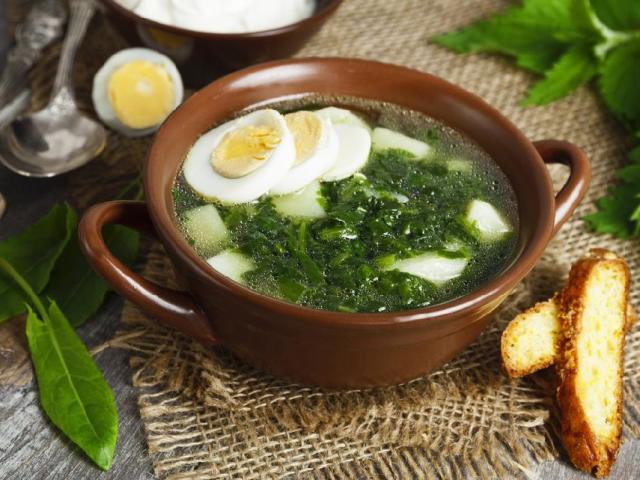 Sveže zelje zelje juha: najboljši recepti. Kako kuhati okusno zelno juho iz svežega zelja s piščancem, svinjino, govedino, jagnjetino, gobami, mesnimi kroglicami, fižolom, paradižnikom, nagnjenjem: najboljši recepti