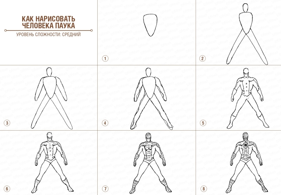 Step-by-step drawings of Spider-Spider in full height