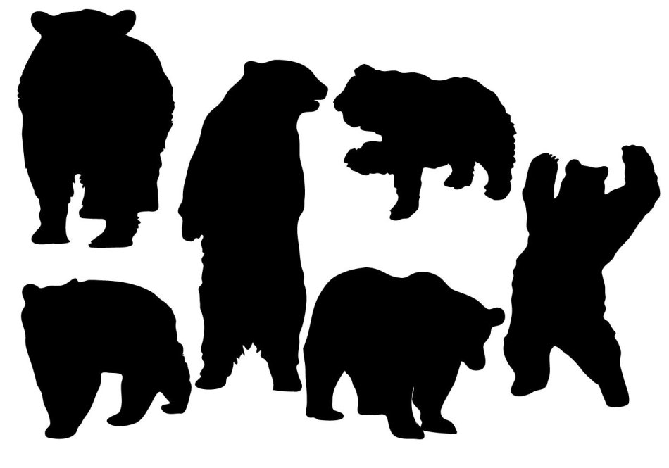 Трафарет медведя для рисования - шаблон, фото