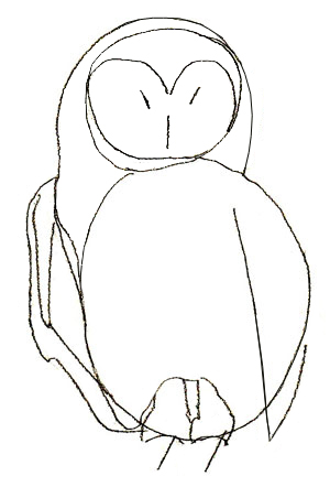 Draw a mask of owl and designate the beaks and eyes with strokes