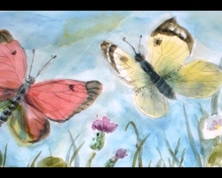 ¿Cómo dibujar una hermosa mariposa con un lápiz en etapas para principiantes y niños? ¿Cómo dibujar un alas de mariposa, una pequeña mariposa en una flor con lápiz y pinturas?