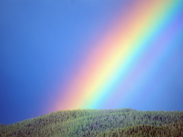 Почему и как появляется радуга? Какое явление природы лежит в основе радуги? Почему радуга разноцветная? Бывает ли радуга зимой?