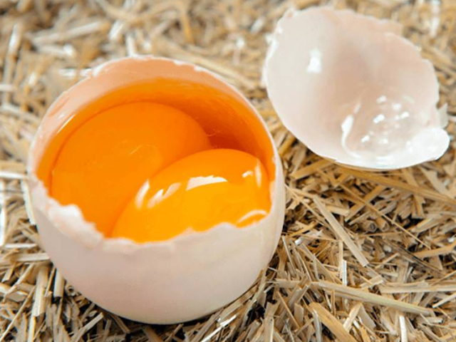 Яйцо с двумя желтками: примета, что значит для мужчины, женщины?