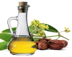 How to use jojoba oil from wrinkles and stretch marks for growth and restoration of hair ends, for eyebrows and eyelashes?
