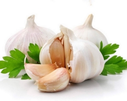 How to quickly remove, neutralize the smell of garlic from the mouth: the best ways. What to eat so that it does not smell of garlic from the mouth? How much does the smell of garlic from the mouth last, after how much is it eliminated?