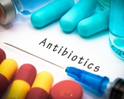 Planning pregnancy after taking antibiotics. How does the intake of antibiotics affect the early stages of pregnancy?