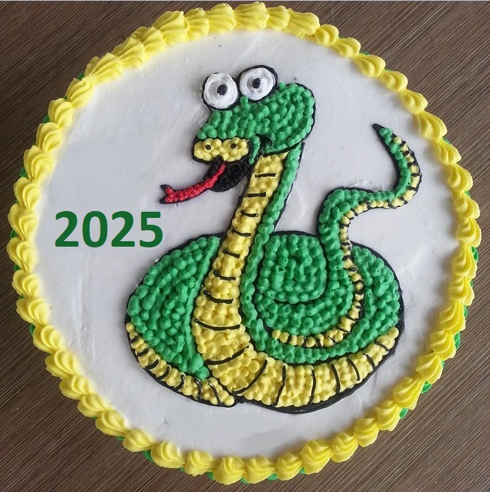 Идеи новогоднего торта 2025 в год змеи