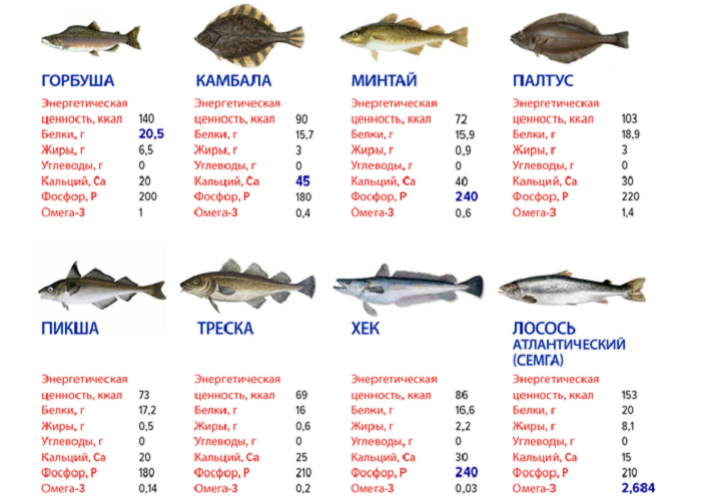 مواد مفید در ماهی