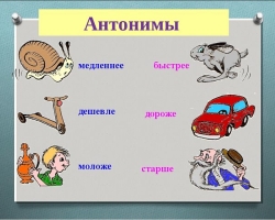Kaj so antonimi v ruskem jeziku in kaj pomenijo? Glagoli, pridevniki, prislovi, samostalniki, antonimi: primeri