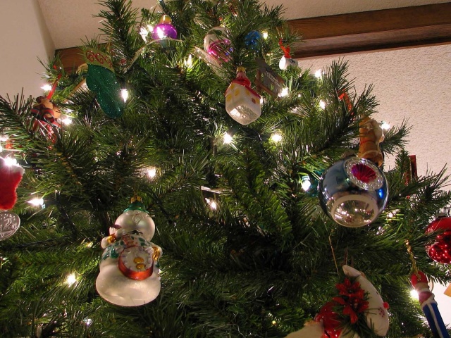 Wie kann man einen lebenden Weihnachtsbaum zu Hause ohne Stellung setzen und in einem Eimer mit Sand oder Wasser für das neue Jahr kreuzen? So wählen Sie einen lebenden Weihnachtsbaum in einem Weihnachtsbaum: Tipps. Wie viel können Sie zu Hause einen Weihnachtsbaum auf Feng Shui und an welchem \u200b\u200bOrt im Haus, Wohnung geben?