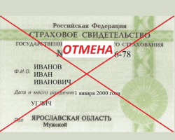 Закон о укидању Снилс картица - главна питања: Зашто се могу отказати, шта ће се догодити уместо ових картица?