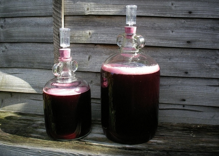Black -fruited rowan wine under a water plant