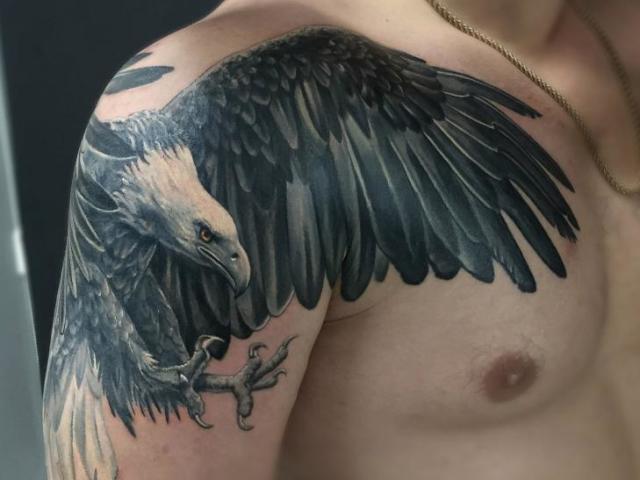 Mit jelent a sas tetoválás a lányok, a férfiak és a nők számára? Eagle tetoválás: Hely, fajták, vázlatok, fotók Milyen tetoválásokat kombinálnak egy sas tetoválással?