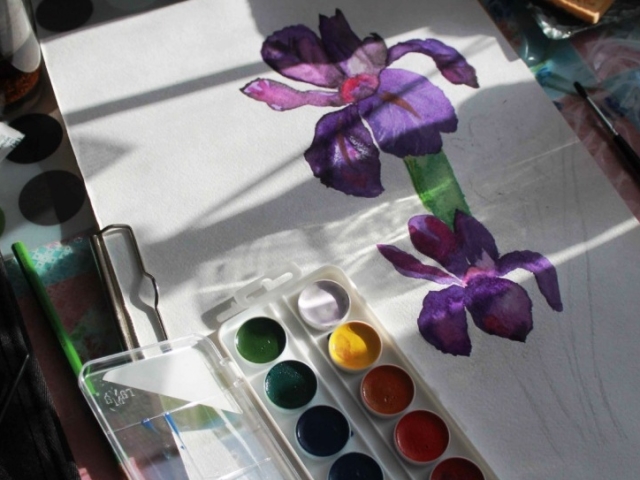Как нарисовать цветок ирис карандашом и акварелью поэтапно для начинающих? Как нарисовать букет цветов ирисов карандашом?