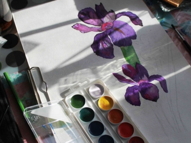 Comment dessiner un iris de fleurs avec un crayon et une aquarelle par étapes pour les débutants? Comment dessiner un bouquet d'iris avec un crayon?