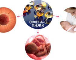 Ωμέγα-3-πολυακόρεστα λιπαρά οξέα κατά τη διάρκεια της εγκυμοσύνης: για τι χρειάζονται; Πώς να πάρετε ωμέγα-3 για άνδρες και γυναίκες κατά τον προγραμματισμό της εγκυμοσύνης;