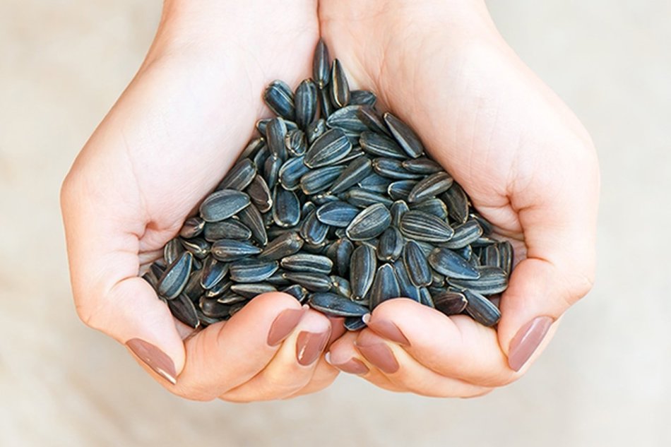 Seeds for pregnant women