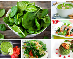 Spinach and its application: benefits, therapeutic and dangerous properties. Spinach and cooking: a nourishing drink based on kefir with spinach, cottage cheese appetizer with spinach and garlic, vegetable salad with spinach and egg, spinach and cottage cheese, spinach cream, spinach sauce-delicious recipes for dishes