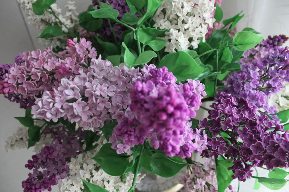 Comment sauver un bouquet de lilas dans un vase plus longtemps?