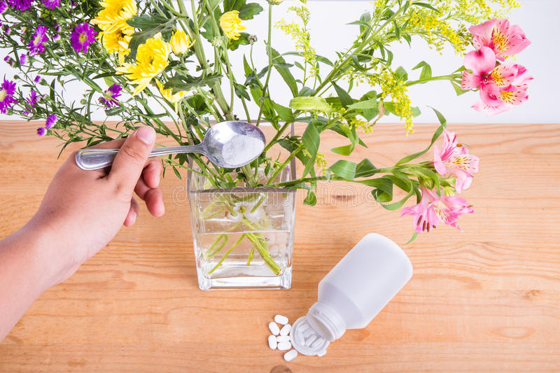 Los medicamentos también son útiles para las flores