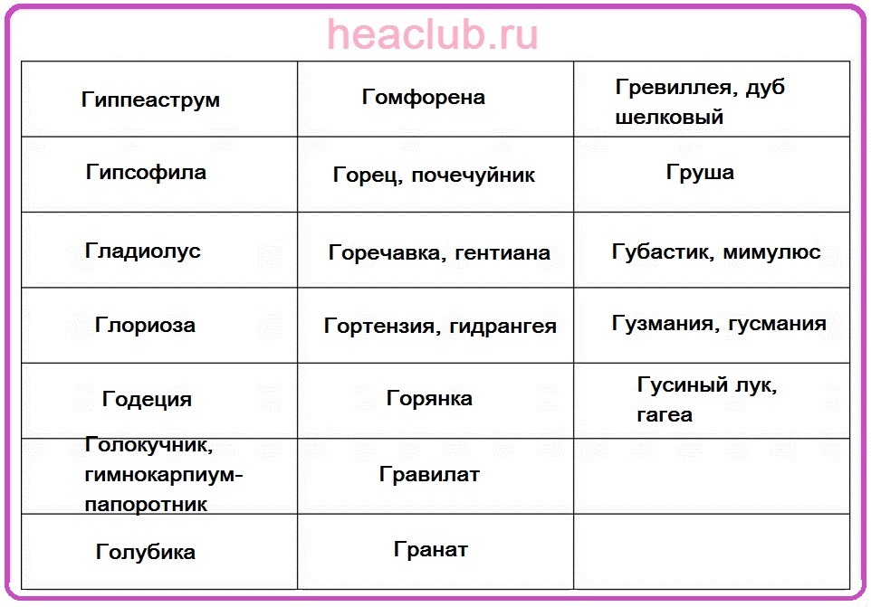 Имената на цветята на G масата