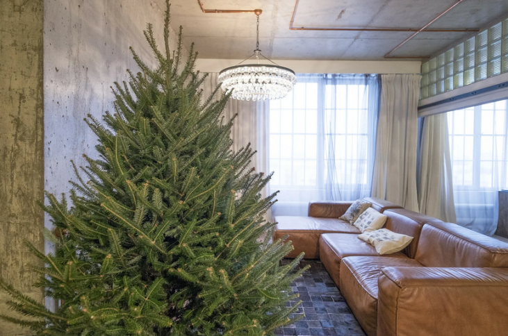Παρέδωσαν το σπίτι των χριστουγεννιάτικων δέντρων