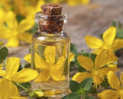 St. John's wort oil - properties. The use of St. John's wort for skin and hair, in cosmetology?